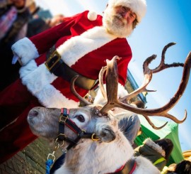 Santa's Reindeer are Flying Into Town!
